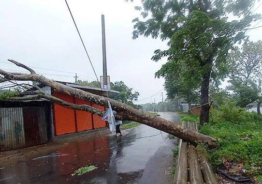 ঘূর্ণিঝড় রেমালের তাণ্ডবে সারাদেশে ১৪ জনের মৃত্যু