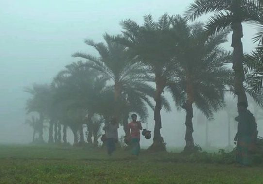 চুয়াডাঙ্গা ও গোপালগঞ্জে তাপমাত্রা ১০.২ ডিগ্রি সেলসিয়াস