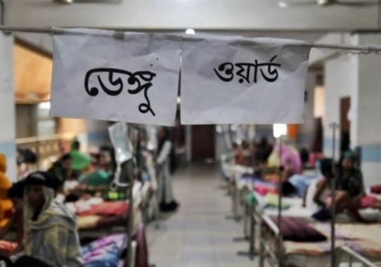 ডেঙ্গুতে ২৪ ঘণ্টায় সর্বোচ্চ ৫ জনের মৃত্যু