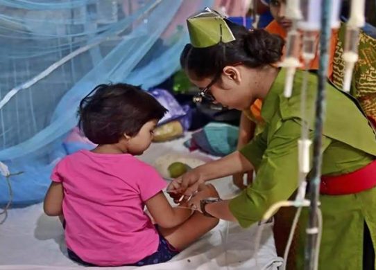 ডেঙ্গু: একদিনে ২৪৯ জনের শনাক্ত, মৃত্যু একজনের