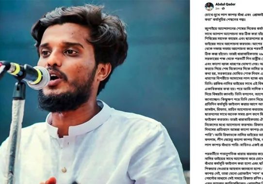 প্রোফাইল লাল করার প্রস্তাব দিয়েছিলেন ছাত্রদলের নাছির