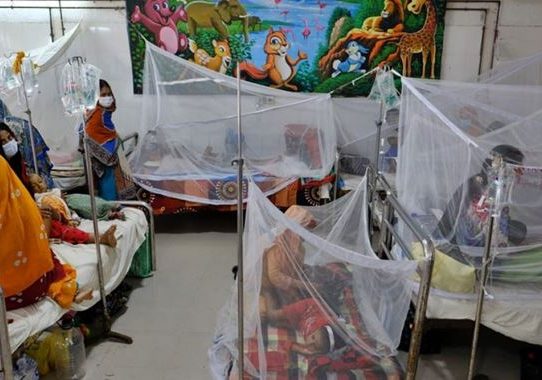 ডেঙ্গুতে জুলাইয়ে ৪১ জনের মৃত্যু, আক্রান্ত ১০৬৮৪