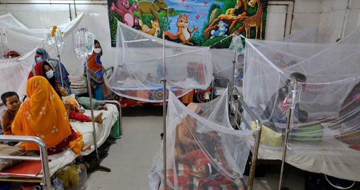 ডেঙ্গুতে জুলাইয়ে ৪১ জনের মৃত্যু, আক্রান্ত ১০৬৮৪