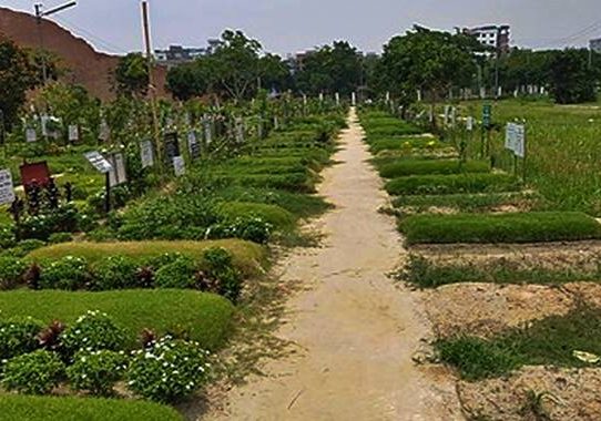 জুলাই আন্দোলনে নিহত ১১৪ লাশ উত্তোলনের নির্দেশ