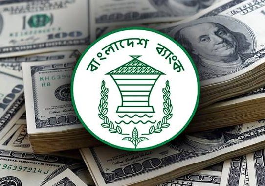 রিজার্ভ বেড়ে ৩১ দশমিক ৩৩ বিলিয়ন ডলার