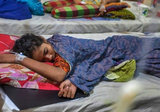 আগস্টে ডেঙ্গুতে মৃত্যু ৩৯ জনের, হাসপাতালে ভর্তি ১০৪৯৬ রোগী
