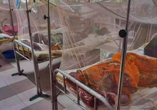 ডেঙ্গুতে একদিনে ৬ জনের মৃত্যু, হাসপাতালে ভর্তি ৫৮৬