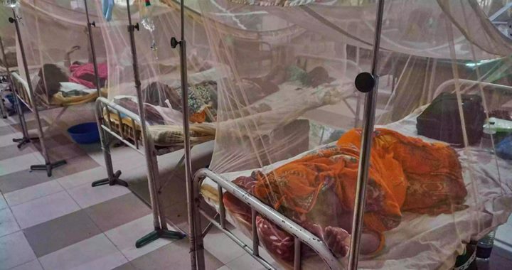 ডেঙ্গুতে একদিনে ৬ জনের মৃত্যু, হাসপাতালে ভর্তি ৫৮৬