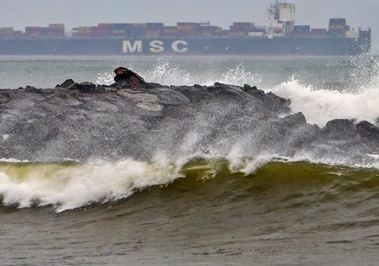 ভারতের অন্ধ্রপ্রদেশের উপকূলে আঘাত হানল ঘূর্ণিঝড় 'মন্থা'