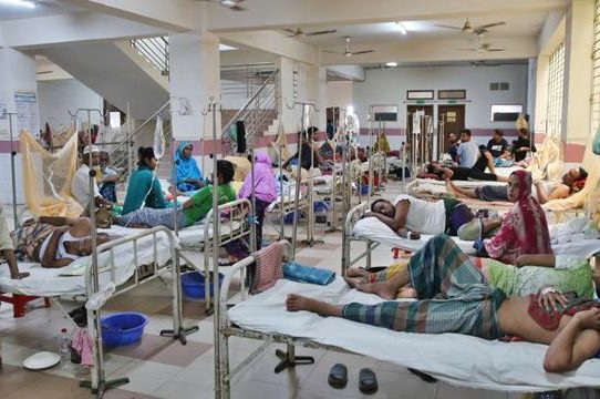 ডেঙ্গু আক্রান্ত রোগীর সংখ্যা ৫০ হাজার ছাড়াল