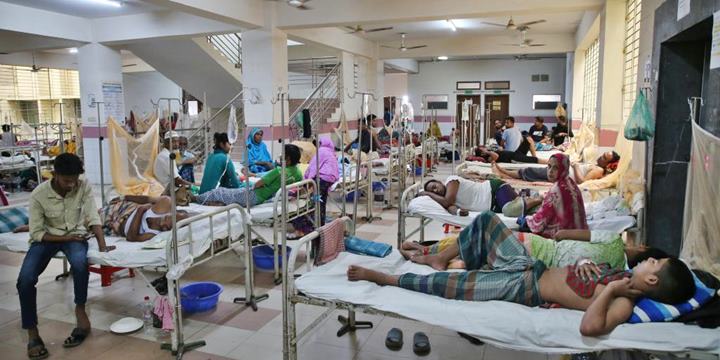 ডেঙ্গু আক্রান্ত রোগীর সংখ্যা ৫০ হাজার ছাড়াল