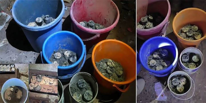 জেনেভা ক্যাম্পে ককটেল ও বোমা তৈরির সরঞ্জাম জব্দ