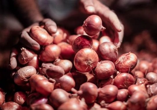 পেঁয়াজ আমদানির অনুমতি দিচ্ছে সরকার