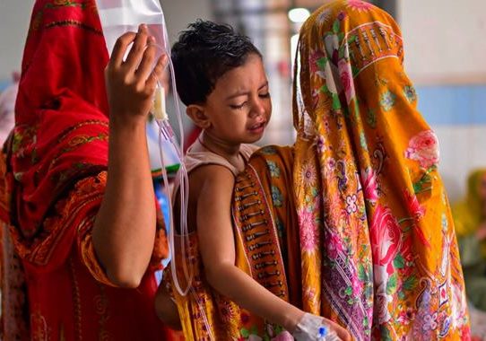 চলতি বছর ডেঙ্গুতে মৃত্যু ৪০০ ছাড়াল