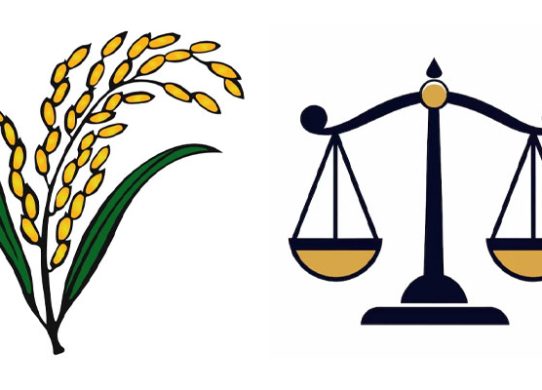 বিএনপি ভোট পেয়েছে ৪৯.৯৭ শতাংশ, জামায়াত ৩১.৭৬ শতাংশ