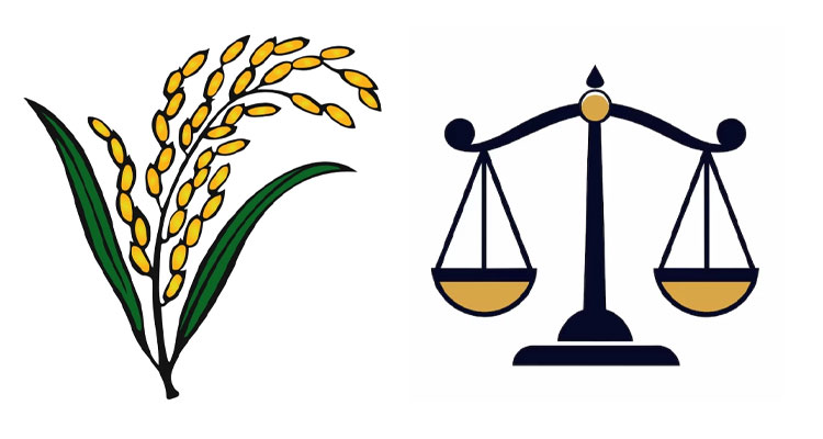 বিএনপি ভোট পেয়েছে ৪৯.৯৭ শতাংশ, জামায়াত ৩১.৭৬ শতাংশ