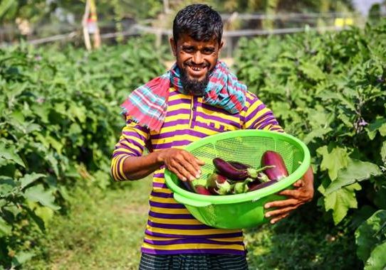 ১০ হাজার টাকা পর্যন্ত কৃষিঋণ মওকুফের সিদ্ধান্ত