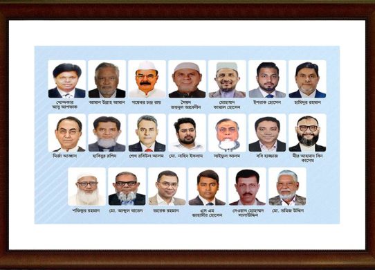 ঢাকার ২০ আসনে যারা বিজয়ী হলেন