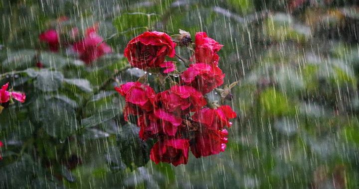 ঈদের দিন কালবৈশাখী ঝড়ের শঙ্কা