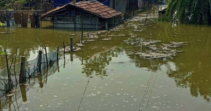 দেশের ৫ জেলায় বন্যার পূর্বাভাস