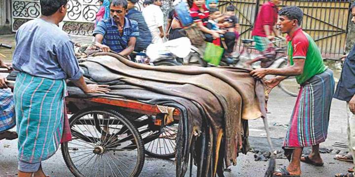 কোরবানির পশুর চামড়ার বাজারে মন্দাভাব