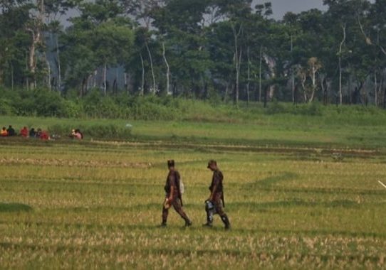 শূন্যরেখায় আটকে থাকা ২৮ জনকে সরিয়েছে বিএসএফ