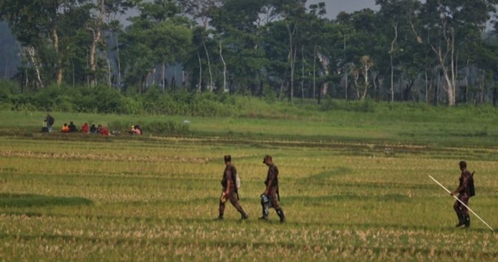 শূন্যরেখায় আটকে থাকা ২৮ জনকে সরিয়েছে বিএসএফ
