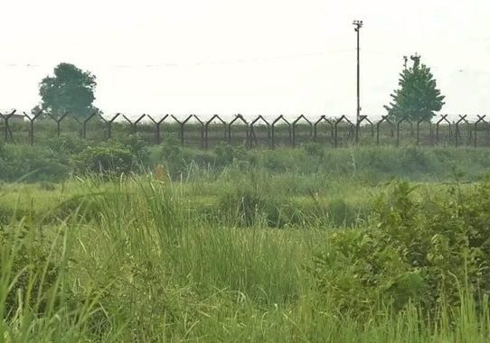 নওগাঁ সীমান্তে ৯ জনকে পুশইনের চেষ্টা বিএসএফের