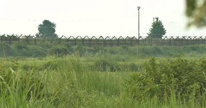 নওগাঁ সীমান্তে ৯ জনকে পুশইনের চেষ্টা বিএসএফের
