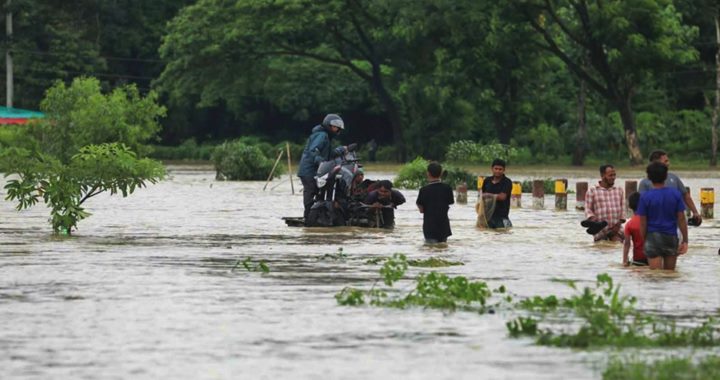 বন্যায় সাত জেলায় ৫১ জন নিহত