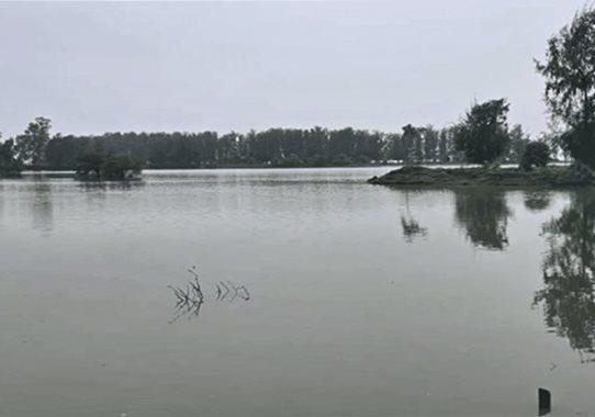 রংপুরের ৫ জেলায় বন্যার পূর্বাভাস