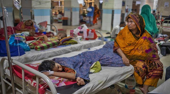 ডেঙ্গু: আগস্টে ৪৩ জনের মৃত্যু