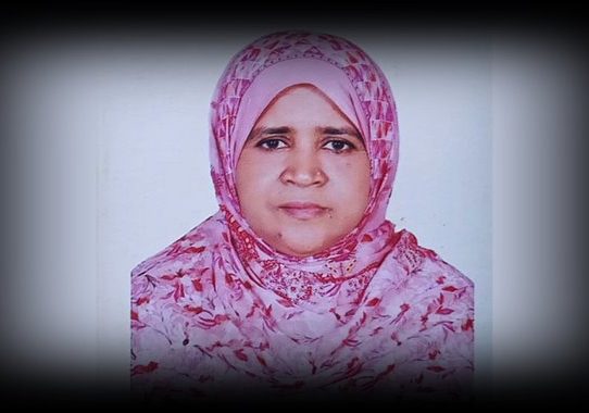 ব্যাগ ধরে ছিনতাইকারীর টান, রিকশা থেকে পড়ে শিক্ষিকার মৃত্যু