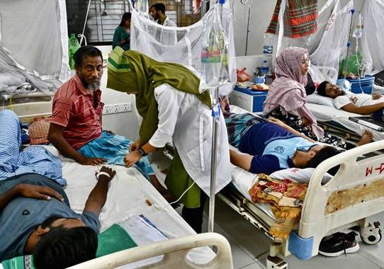 চলতি বছরে সর্বোচ্চ ডেঙ্গু রোগী হাসপাতালে ভর্তি