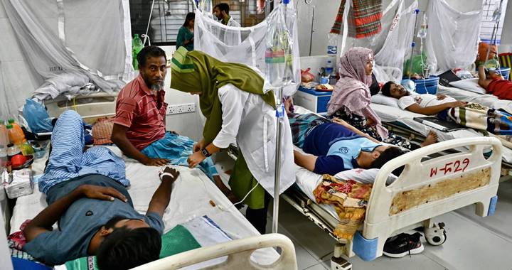 চলতি বছরে সর্বোচ্চ ডেঙ্গু রোগী হাসপাতালে ভর্তি