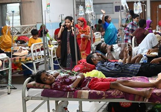 চলতি বছর ডেঙ্গুতে মৃত্যু ২০০ ছাড়াল