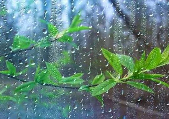 দেশের বিভিন্ন এলাকায় ভারী বর্ষণের আভাস