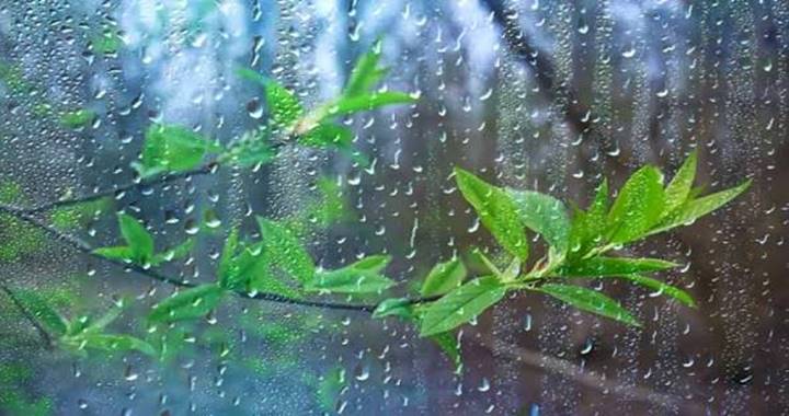 দেশের বিভিন্ন এলাকায় ভারী বর্ষণের আভাস