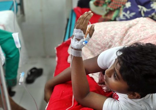 ডেঙ্গুতে নয় মাসে ২৫০ জনের মৃত্যু